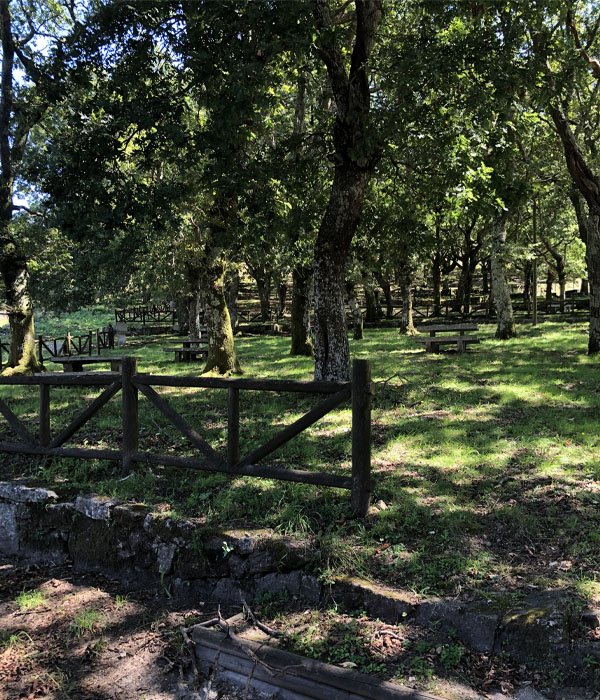 Carballeira Cuspedriños